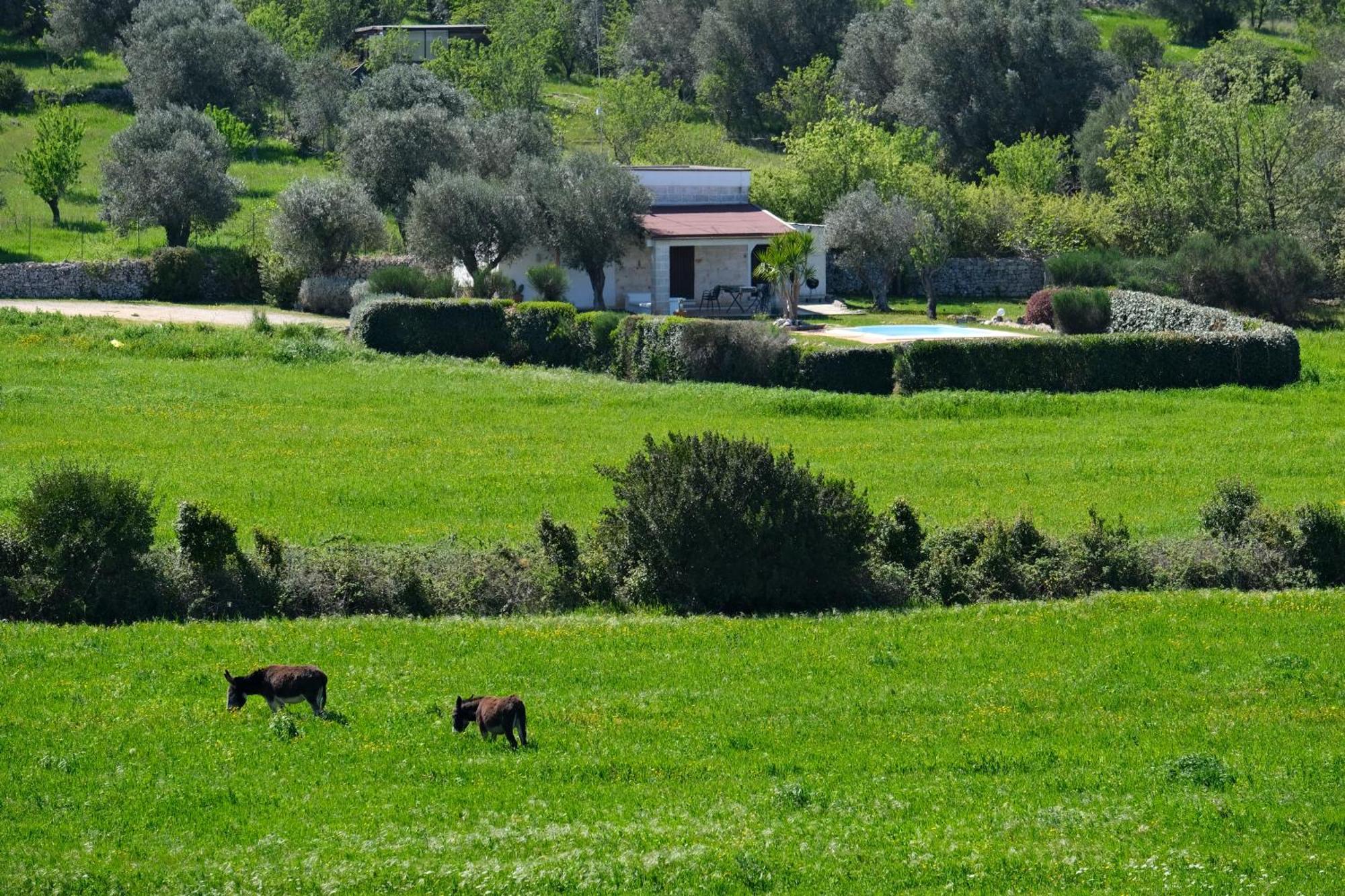 Terra Sessana Ville E Trullo Con Piscina Privata Ostuni Bagian luar foto